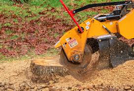 Best Weed Control  in Manassas Park, VA