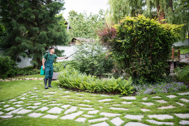 Best Grass Overseeding  in Manassas Park, VA