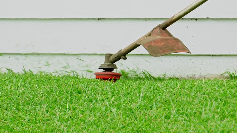 Best Aeration Services  in Manassas Park, VA