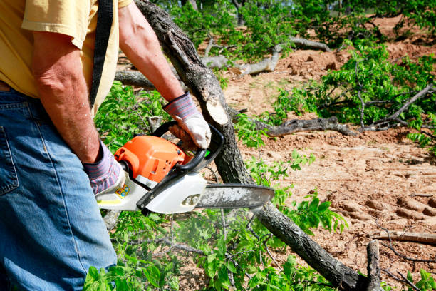 Lawn Irrigation Installation and Maintenance in Manassas Park, VA